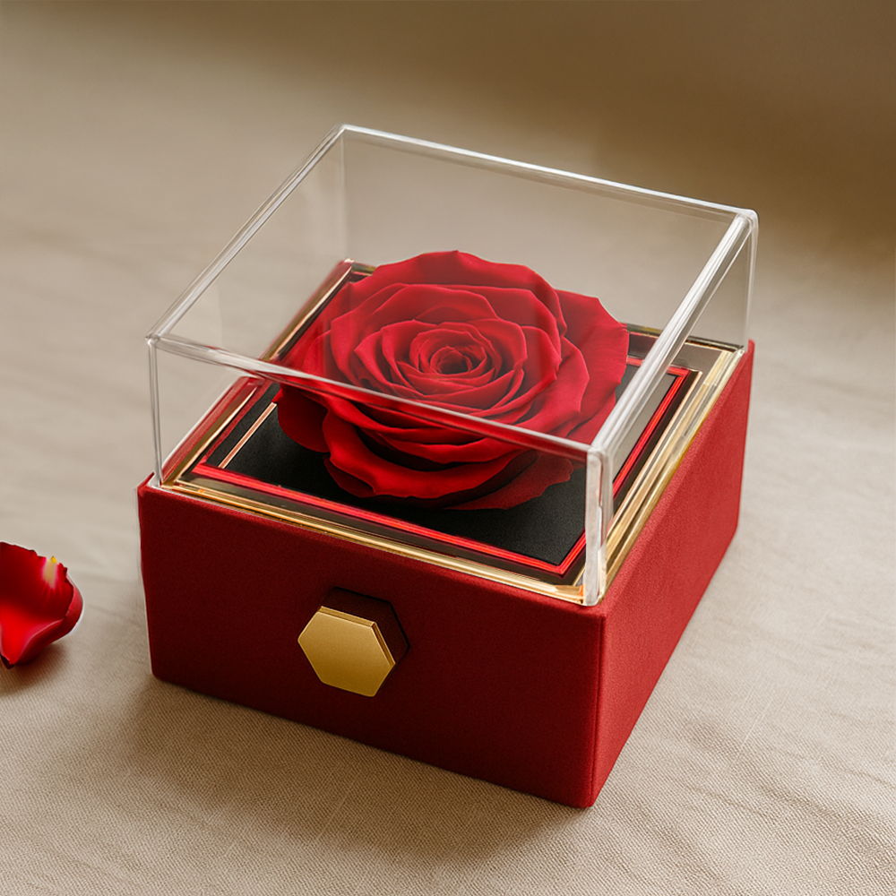 To My Favorite Asset - My Love Never Depreciates - Love Knot with Rotating Rose Gift Box From Your Cash Flow King .