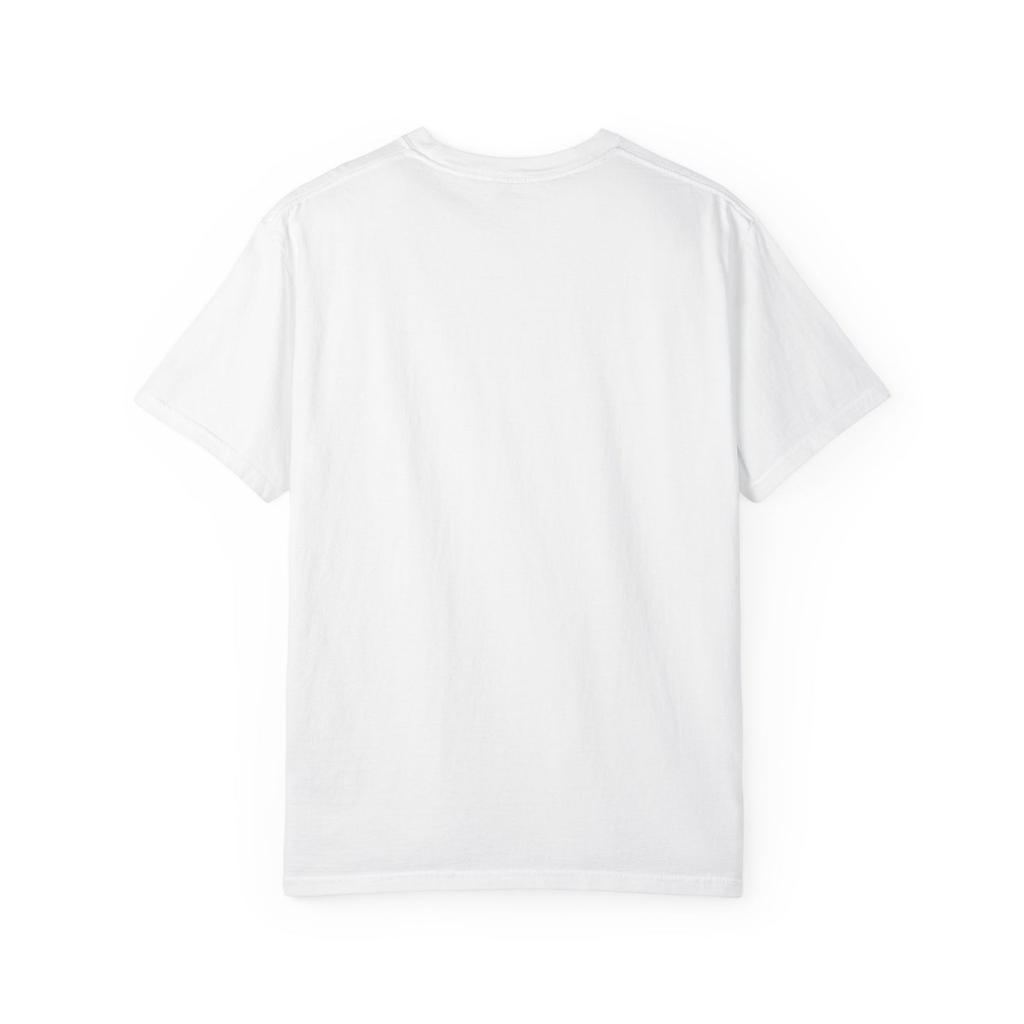 Certified Problem Avoider Unisex Fun T-Shirt for Accountant, Public Certified Accountant.